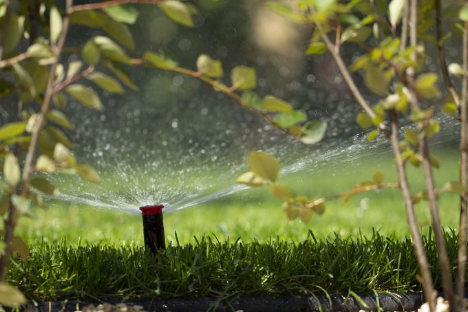Un irrigatore da giardino spruzza acqua sull'erba verde e sullo sfondo si intravedono piante sfocate.