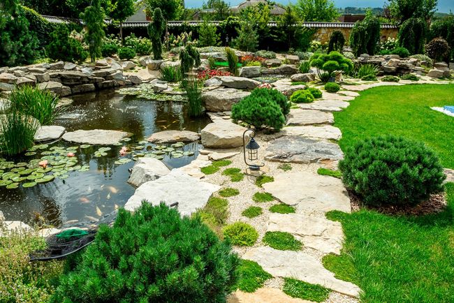 Giardino paesaggistico con laghetto, pietre di passaggio e arbusti verdi ben curati, esposto alla luce del sole.