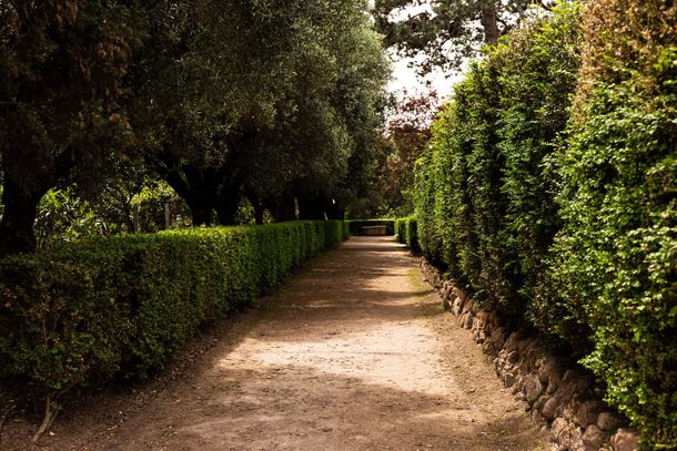 Sentiero sterrato ombreggiato, fiancheggiato da siepi verdi ben curate e alberi su entrambi i lati.