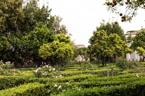 Un parco verdeggiante con alberi, siepi ben curate e un cielo luminoso e soleggiato.