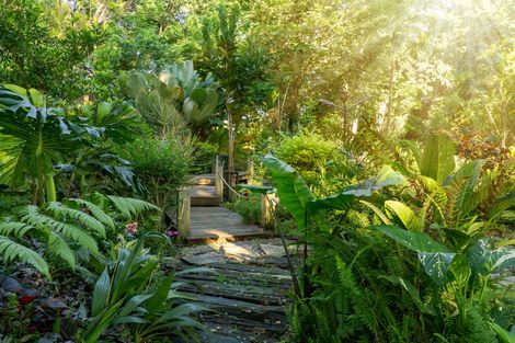 Sentiero soleggiato nel giardino, con rigogliose piante tropicali e scalini in legno.