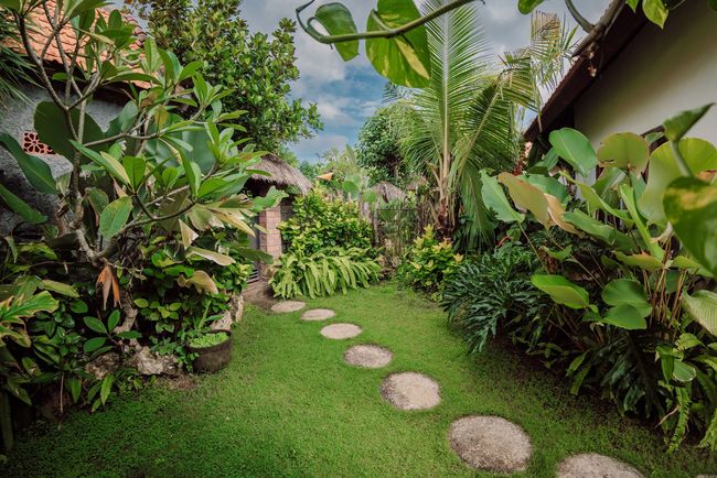 Sentiero lussureggiante in un giardino tropicale con pietre rotonde e fitta vegetazione.