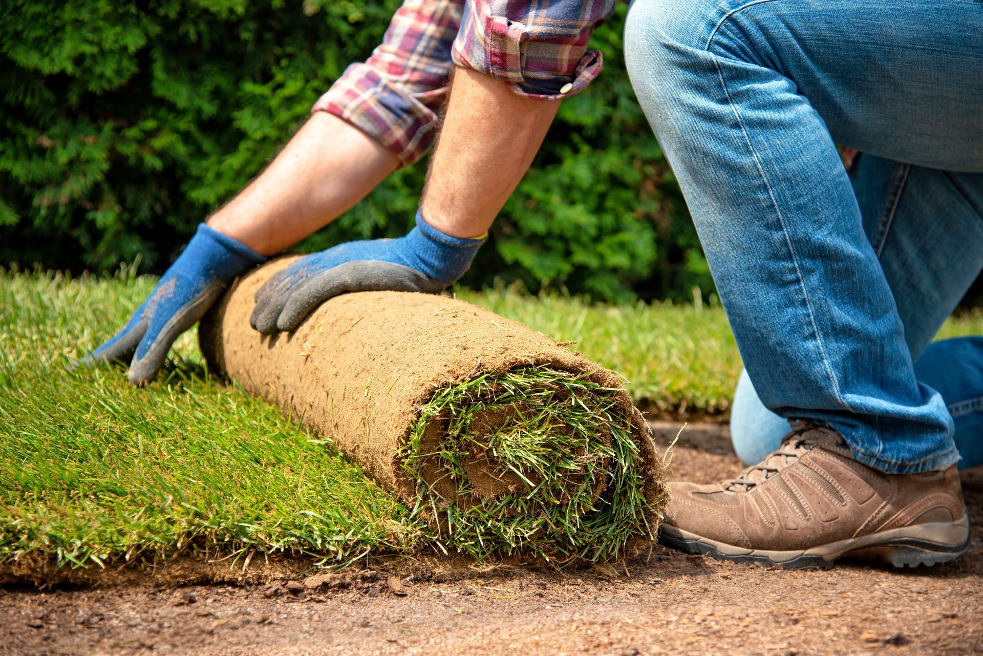 A man is kneeling down to roll out a roll of grass.