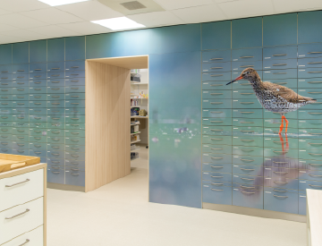 interieurbouw apotheek