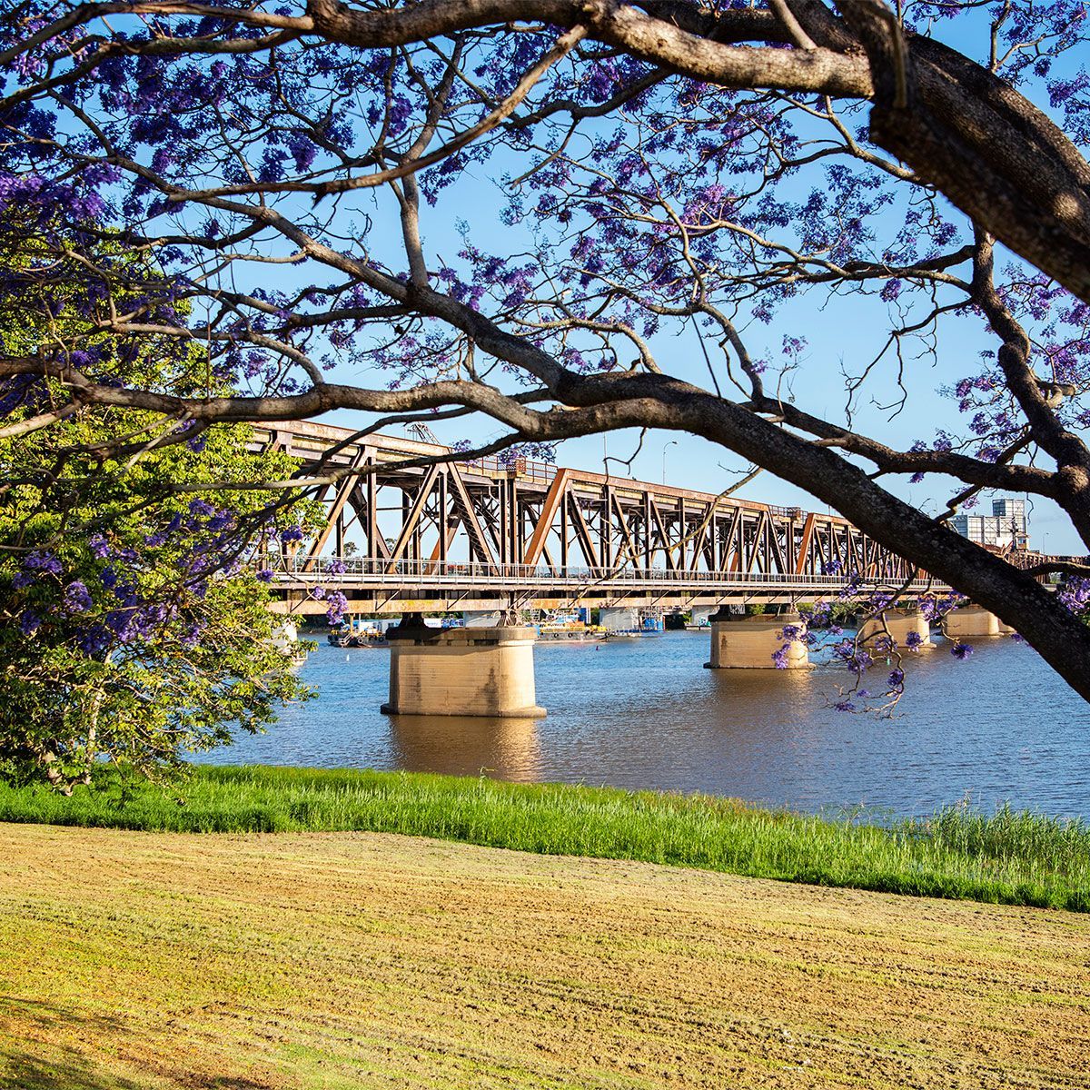 Truss bridge over a blue river, framed by tree branches and green grass on a sunny day in Grafton