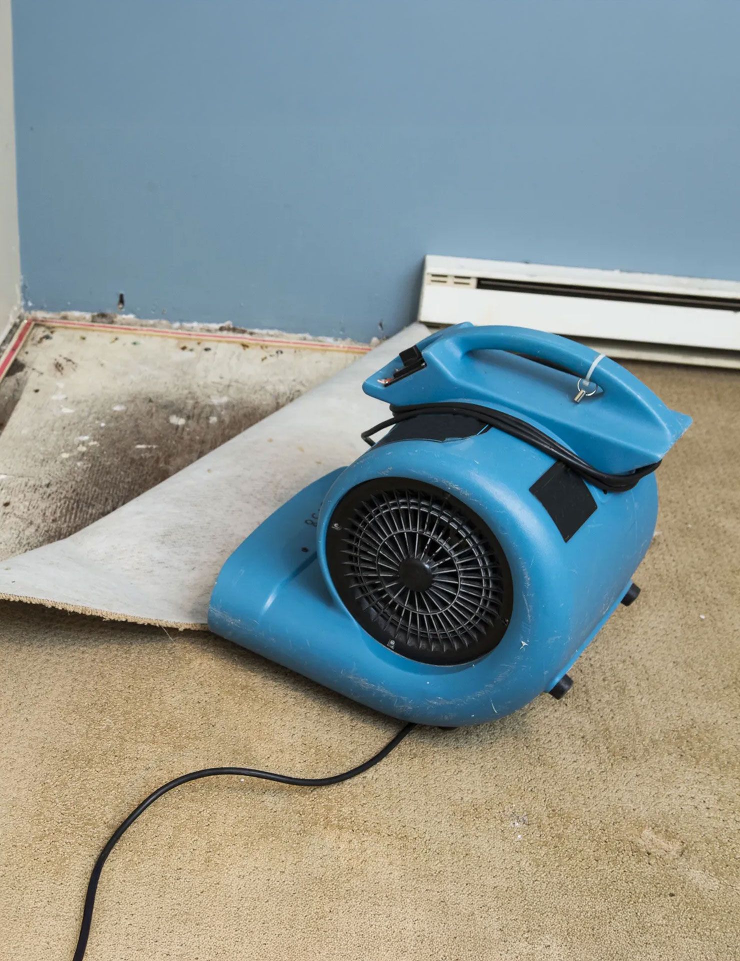 Blue floor dryer fan on carpet beside a paint-splattered drop cloth in a room under repair