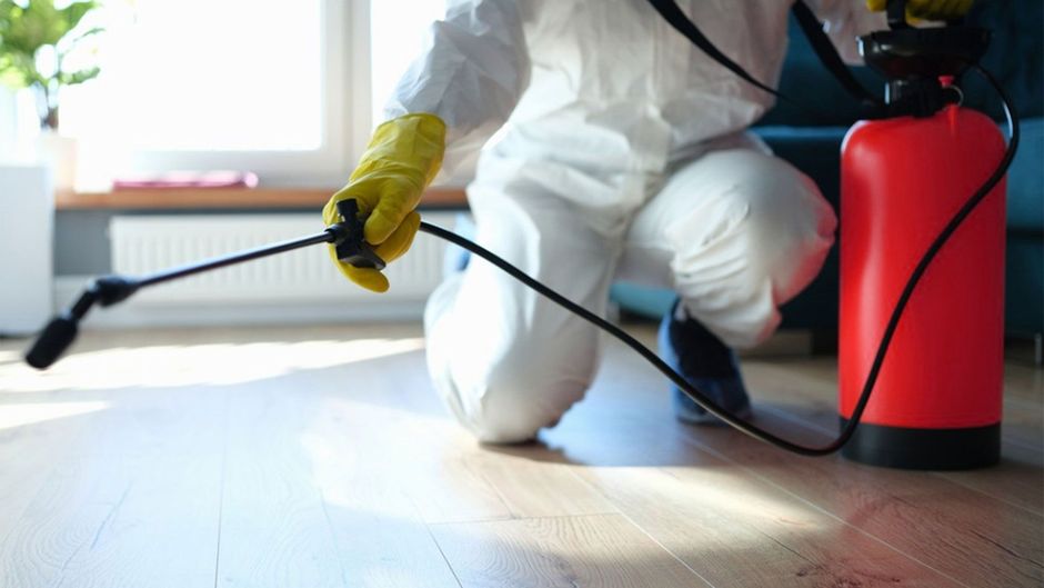 Worker in white protective suit spraying for pests on timber floor