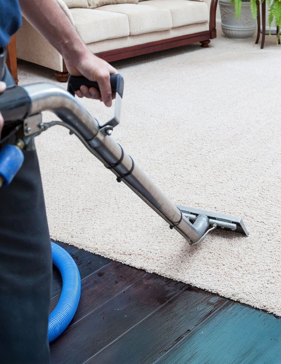 A person vacuuming a light carpet edge beside a dark wood floor in a living room.