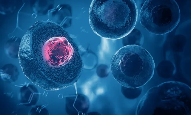 NADH vs NAD+: What's the Difference?