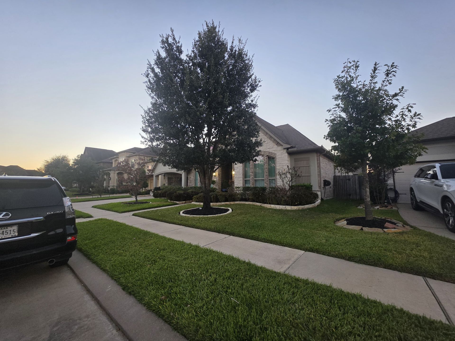 Design Yard Landscaping & Lawn Services | Houston, TX