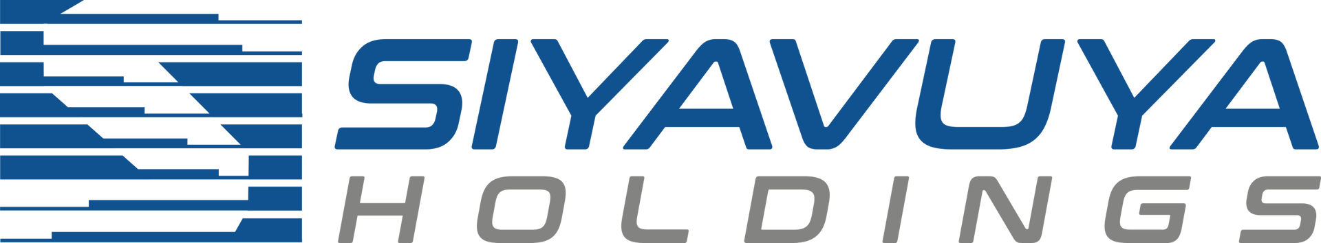 Siyavuya Holdings logo