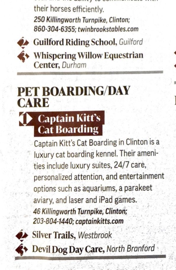 Captain Kitt's Cat Boarding featured as best on the shoreline article