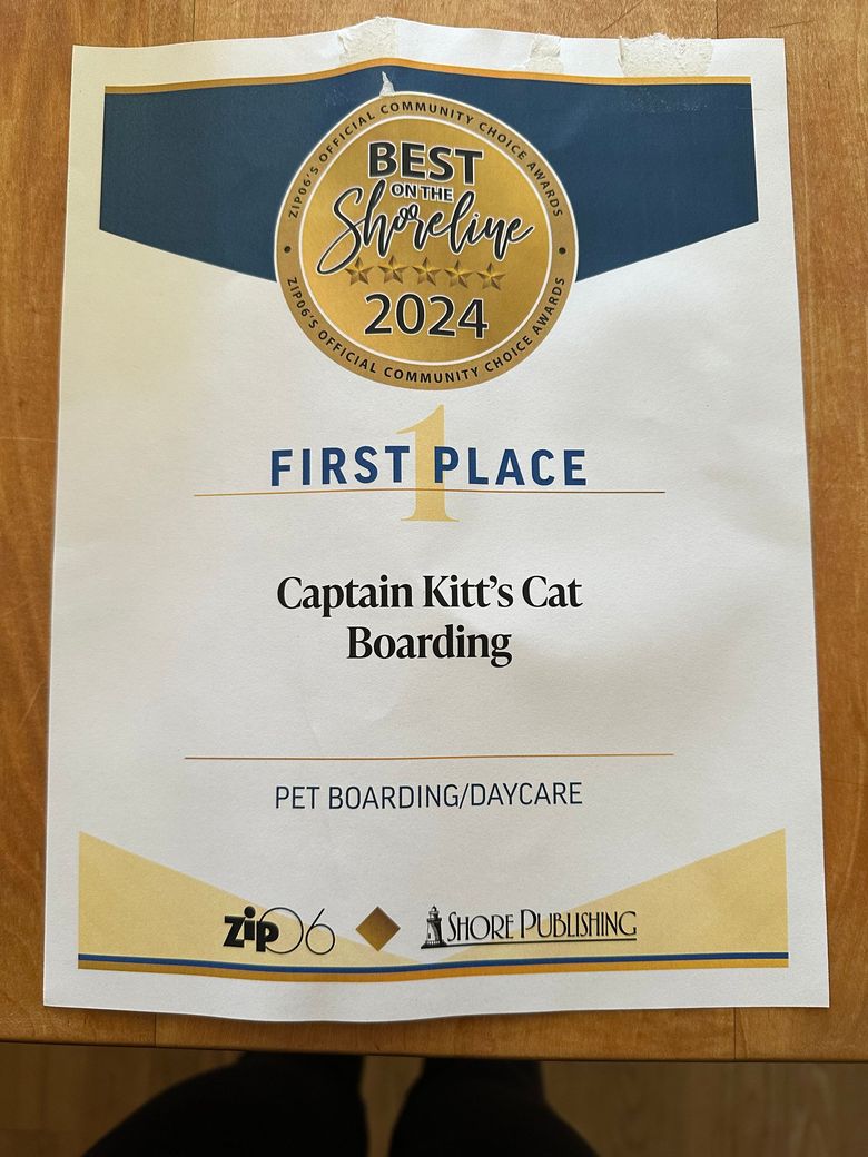 award for best on the shoreline 2024