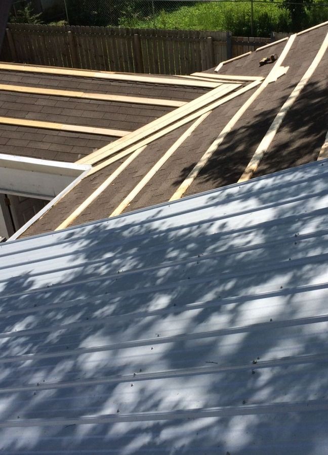 Rooftop with gray and brown sections, sunlit trees casting shadows, and a wooden fence in the background