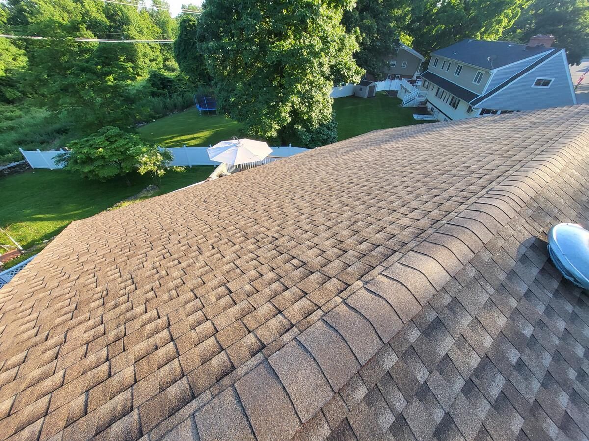 Roof shingles viewed from above, with trees and neighboring houses in the background.