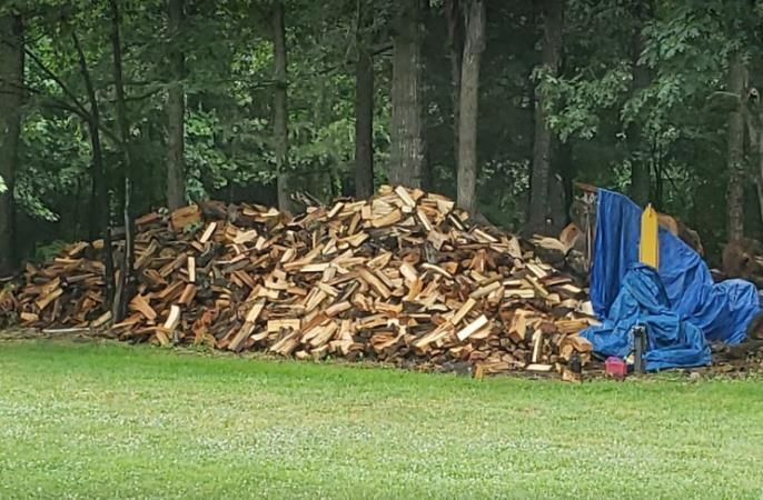 Large woodpile in a grassy yard beside trees, covered partly by a blue tarp.