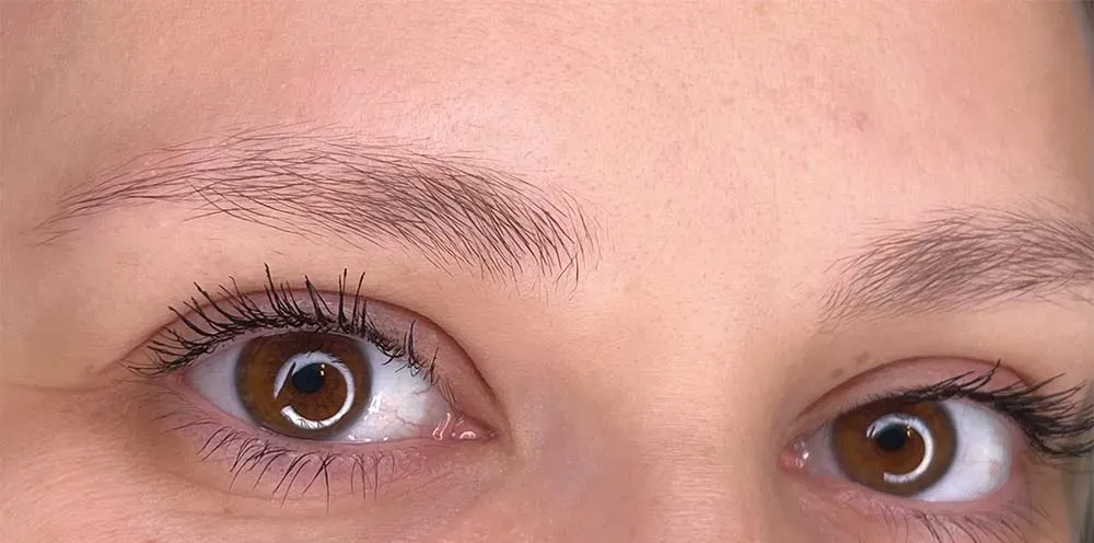 Close-up of brown eyes with mascara, and defined eyebrows.