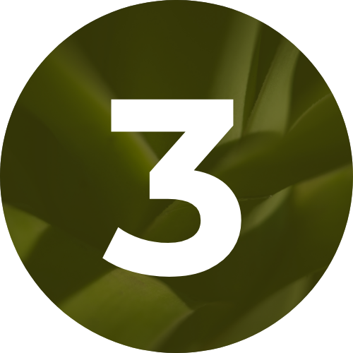 White number 