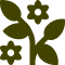 Green stylized plant with leaves and flowers.