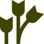 Olive green stylized stalks with three flower buds.