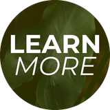 LEARN MORE - Weight Management
