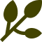 Olive-green sprig with three oval-shaped leaves.