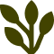 Olive green sprig with four leaves.