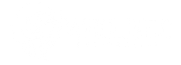 Wholistic Perspective- HOME