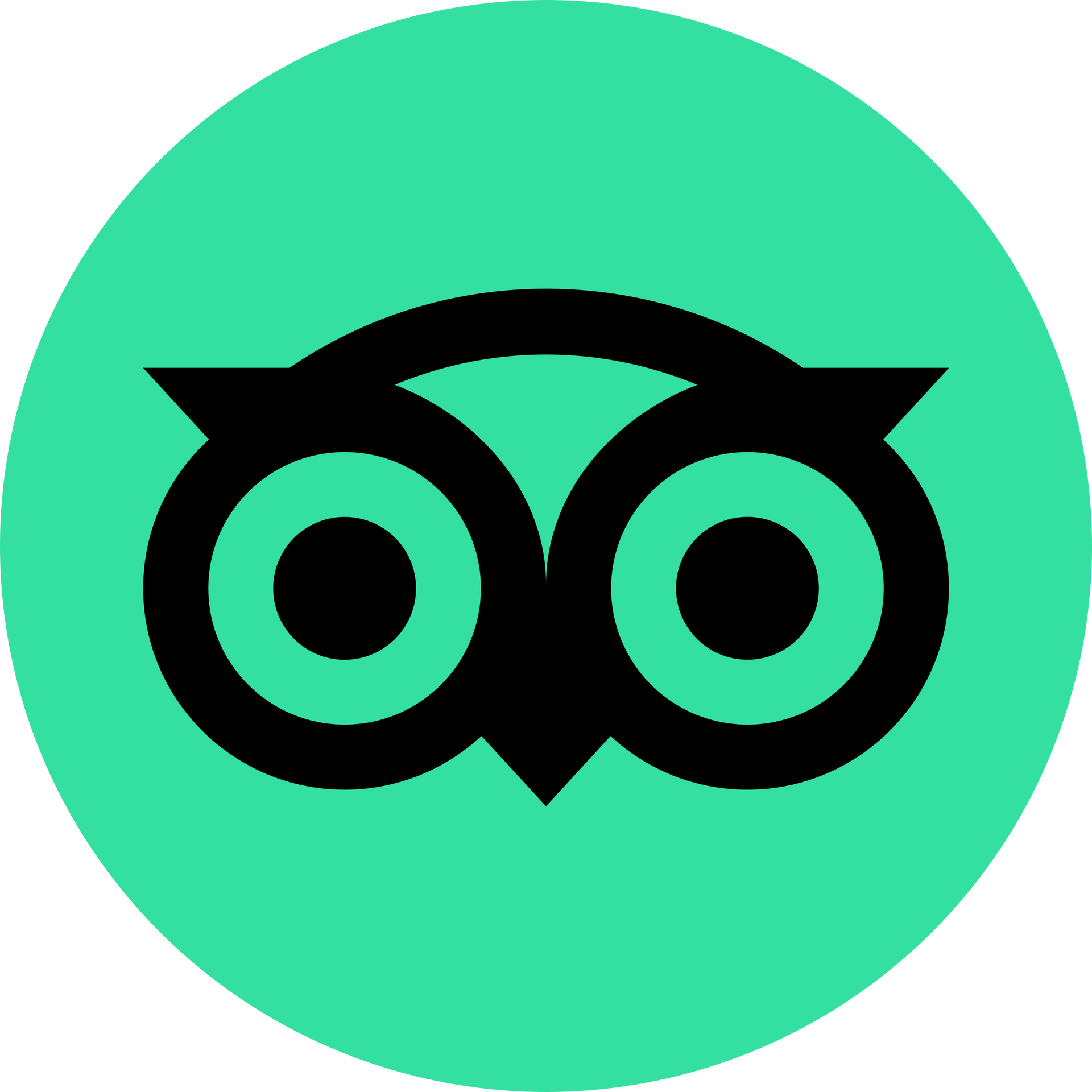 Tripadvisor logo