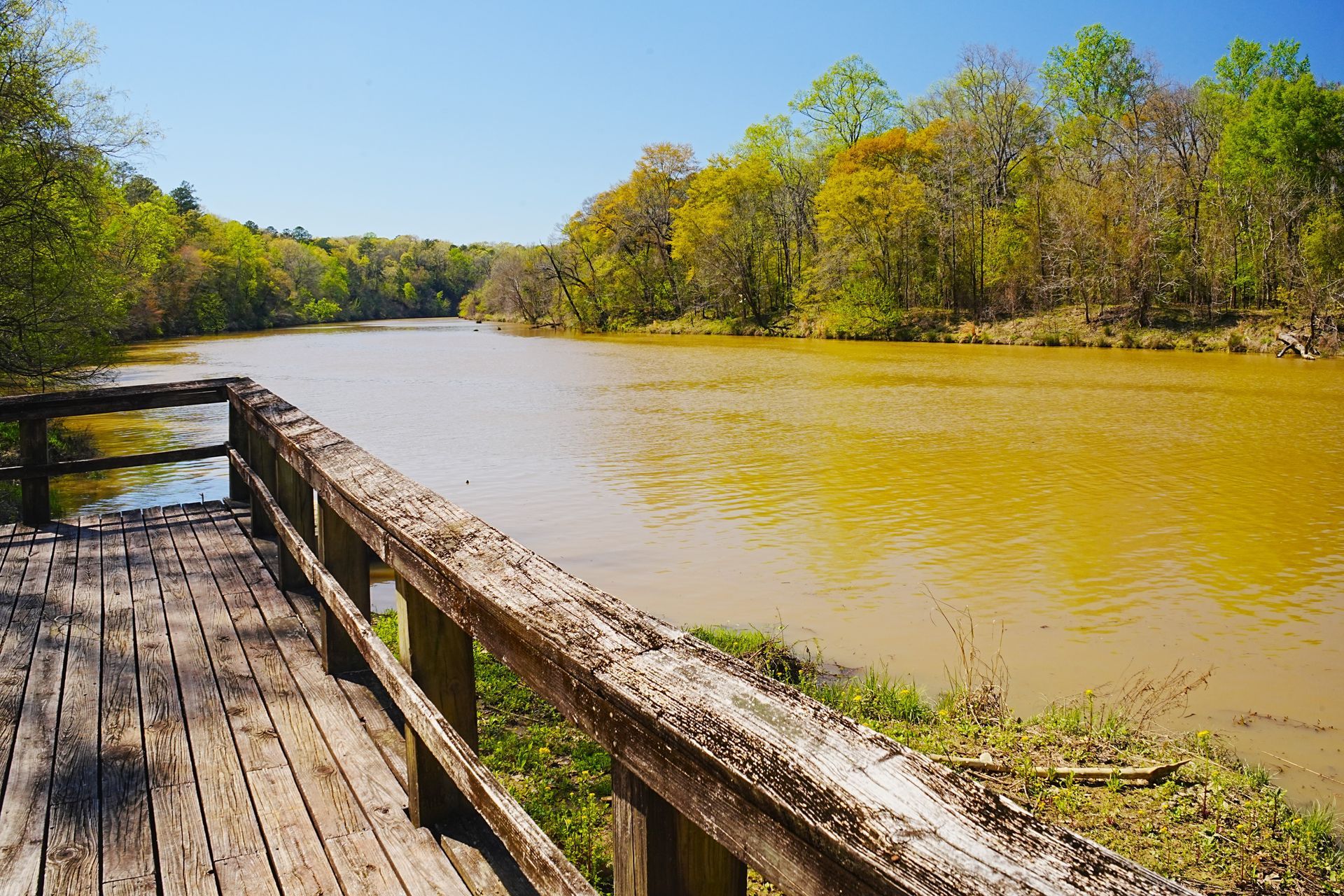 A wooden boardwalk overlooks a wide, muddy brown river lined with lush green trees under a clear blue sky.