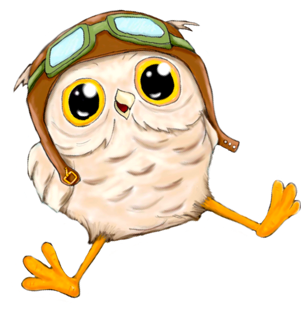 Illustration of Bernie the borrowing owl