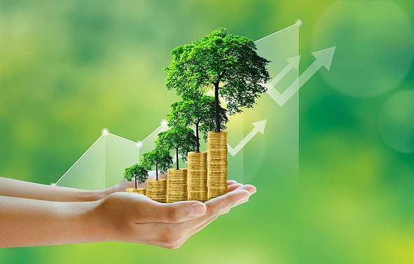 Employee Retention Credit Reporting