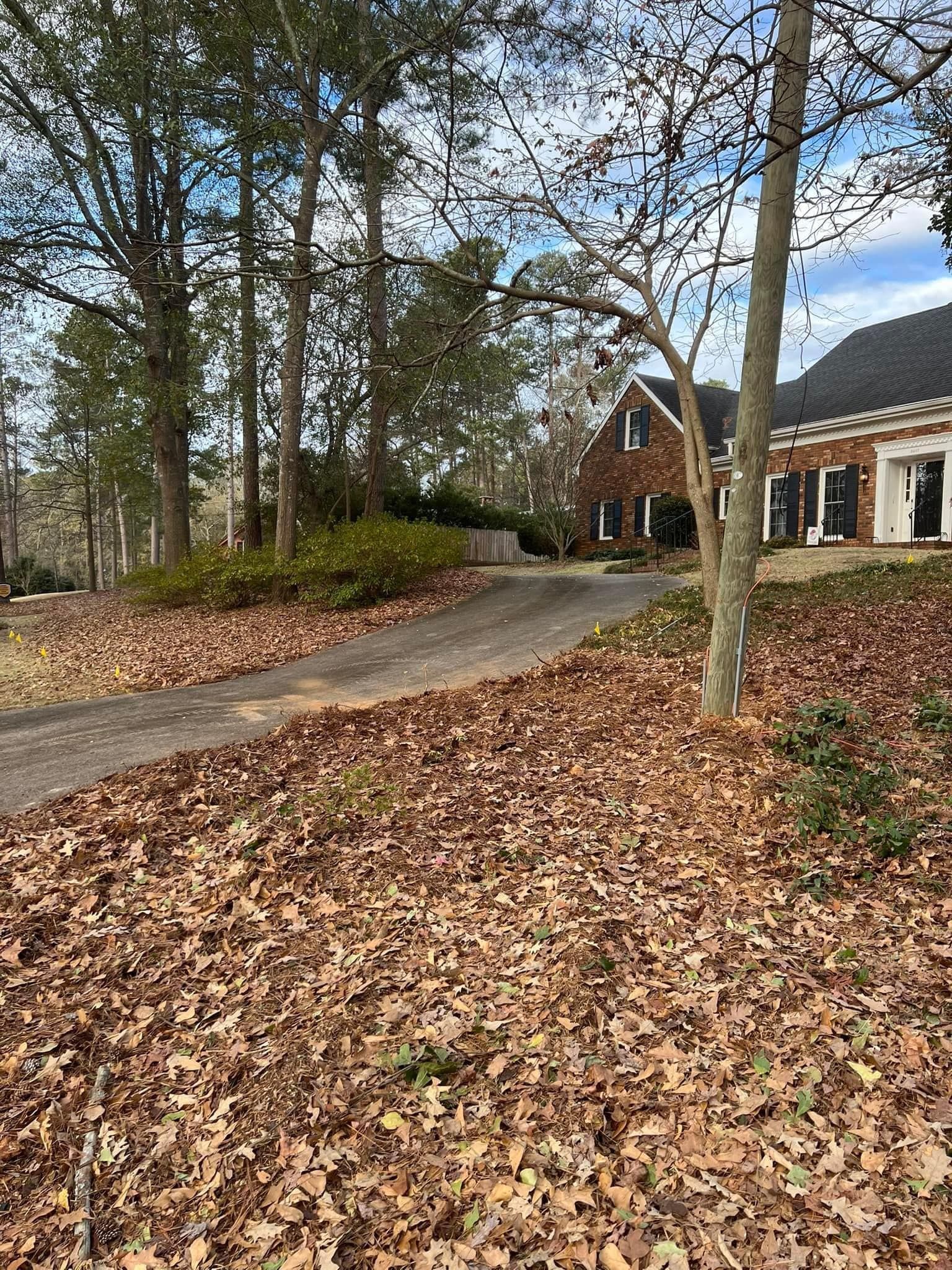 Driveway covered in fallen leaves leading up to a brick house, trees in the background.