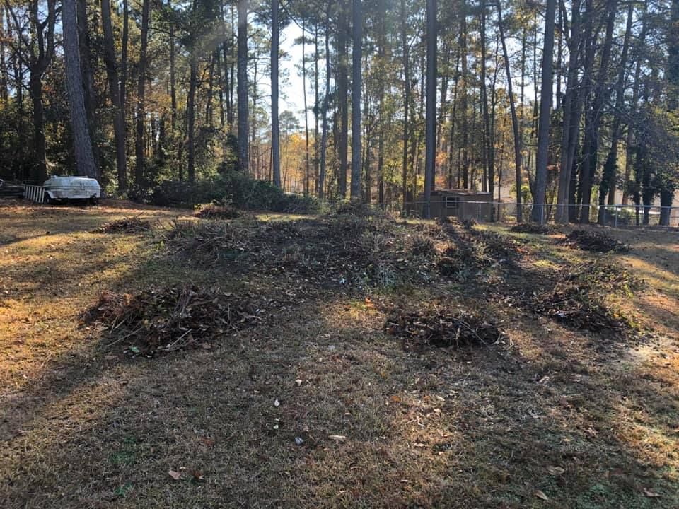 Piles of fallen leaves on dry grass in a yard, with a wooded area in the background. A camper is visible.