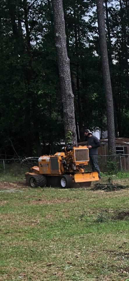 A person using a stump grinder near a large tree in a yard.