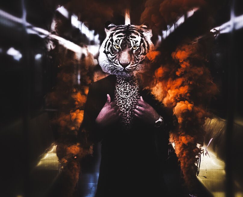 Tiger in a dark tunnel with fiery orange smoke behind it, staring directly forward