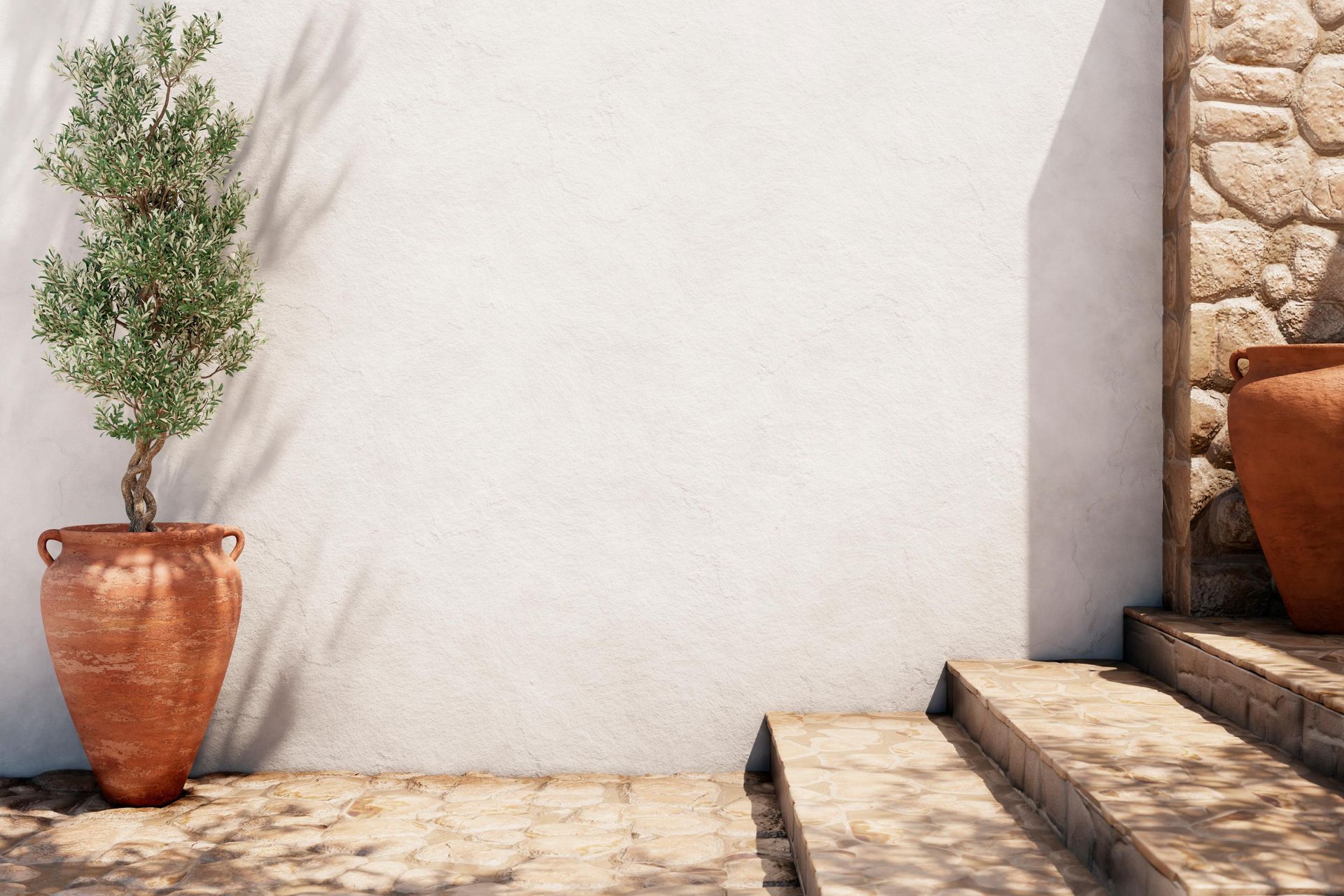 Stone patio with steps, white wall, and a terracotta potted plant in bright sunlight