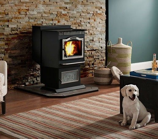 Black pellet stove with fire burning, puppy sitting in front.