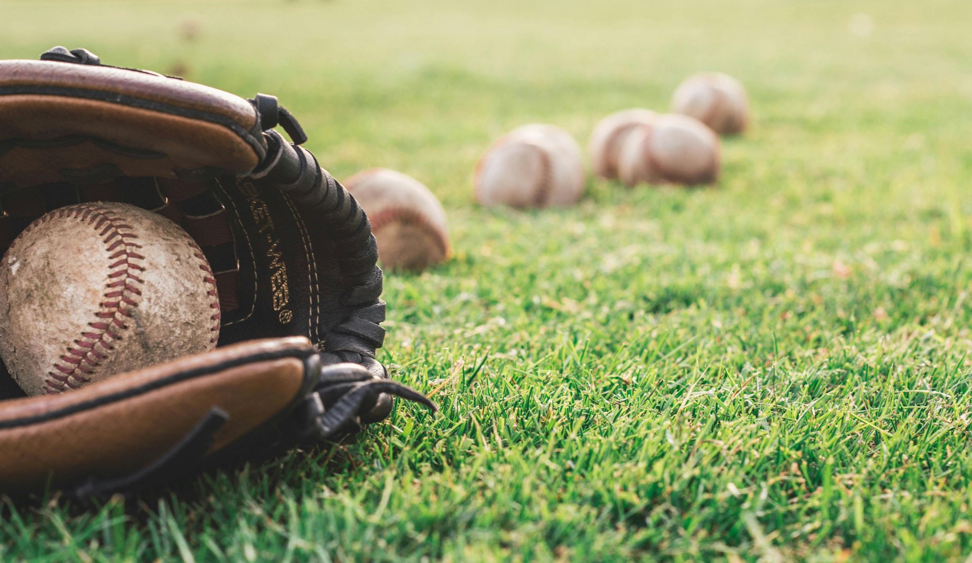 Baseball in a baseball glove on grass