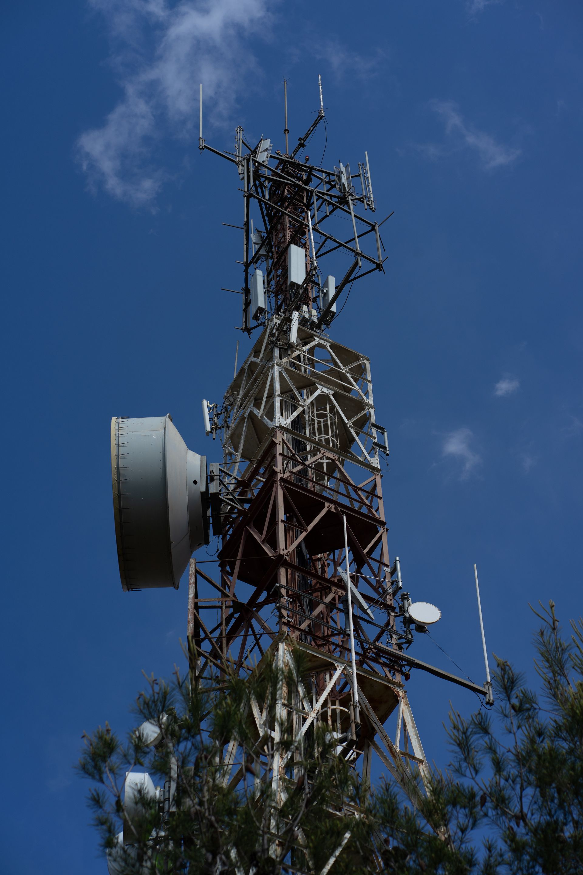 Telecommunication tower with antennas against a blue sky, partially obscured by green foliage.