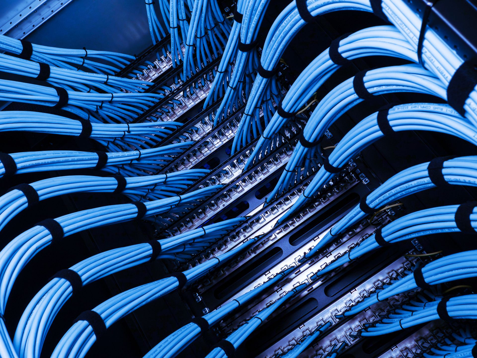 Blue network cables bundled and secured in a server room.