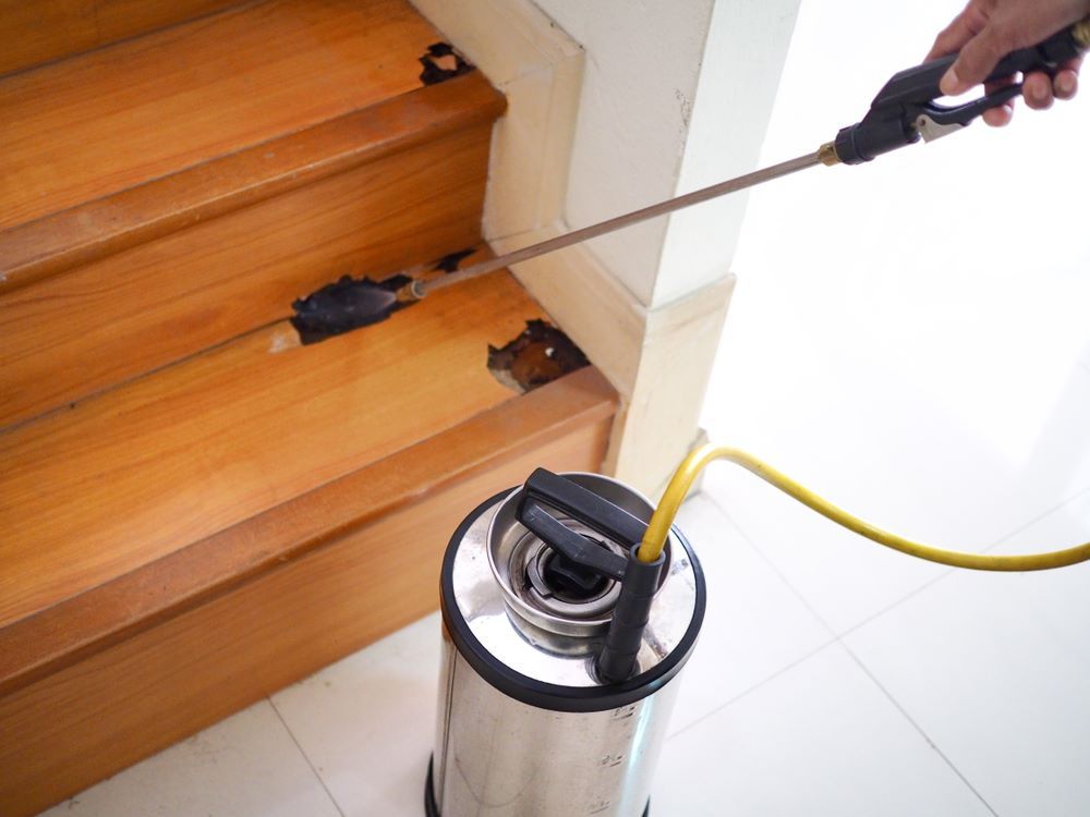 A Person Is Spraying a Mouse on A Wooden Staircase — Allied Pest Management Northern Rivers in Alstonville, NSW