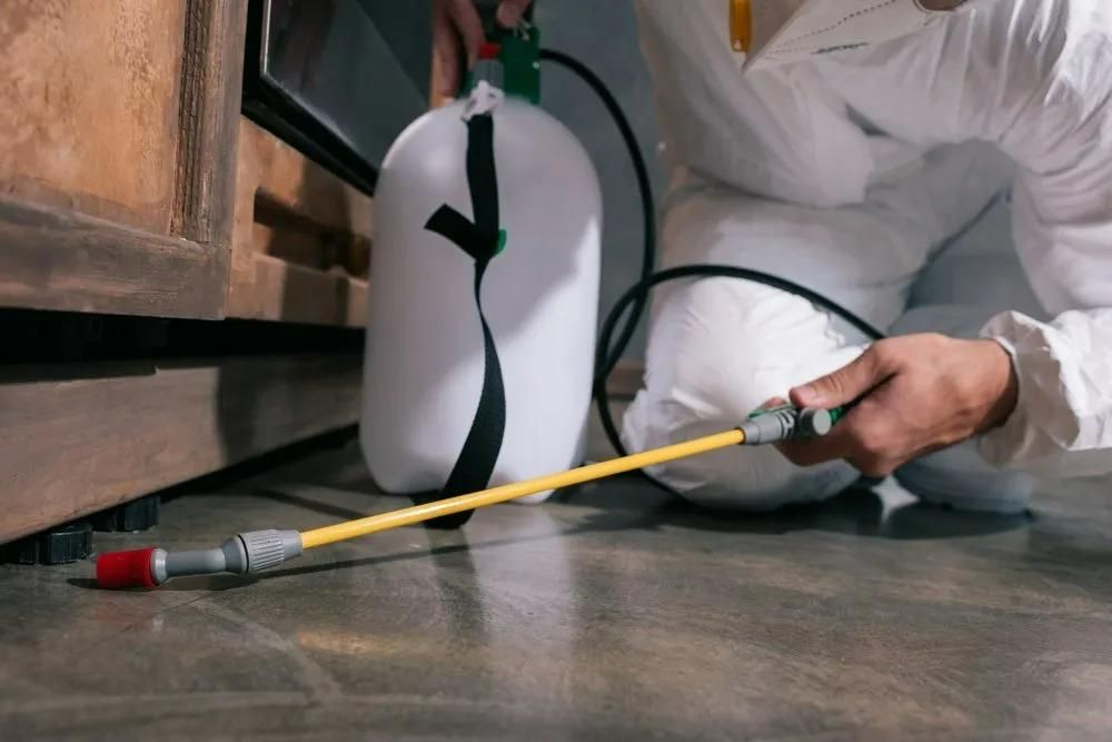 A Person is Spraying a Chemical on the Floor  — Allied Pest Management Northern Rivers in Evans Head, NSW