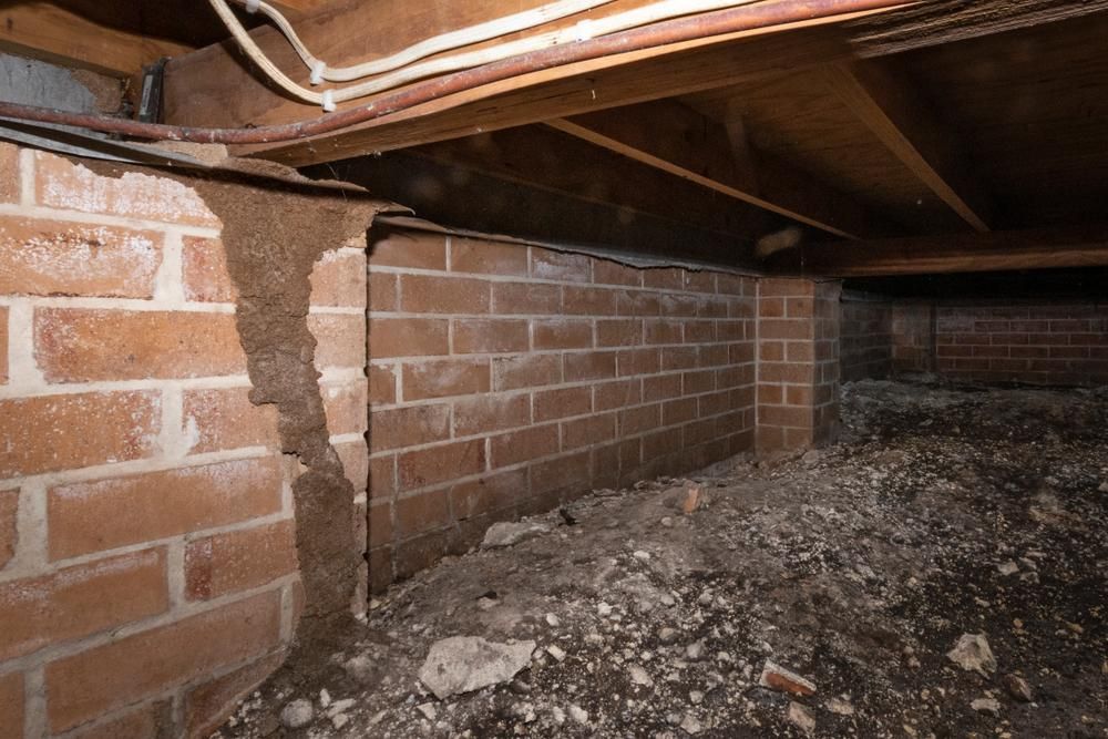 A Brick Wall in a Basement With a Hole in It — Allied Pest Management Northern Rivers in Ballina, NSW
