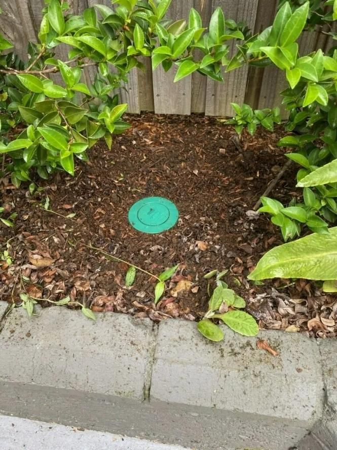 A Green Circle is Sitting in the Middle of a Garden — Allied Pest Management Northern Rivers in Cabarita Beach, NSW