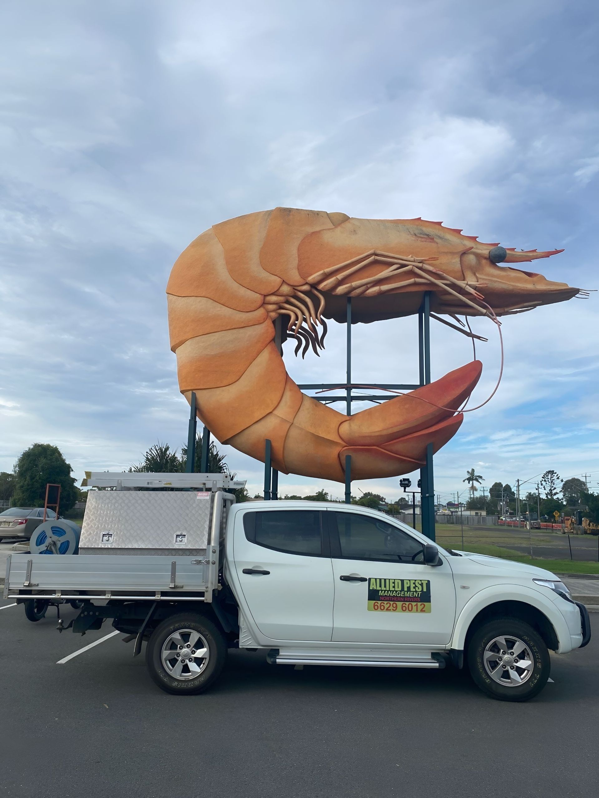 A White Truck is Parked in Front of a Giant Shrimp Statue — Allied Pest Management Northern Rivers in Tregeagle, NSW
