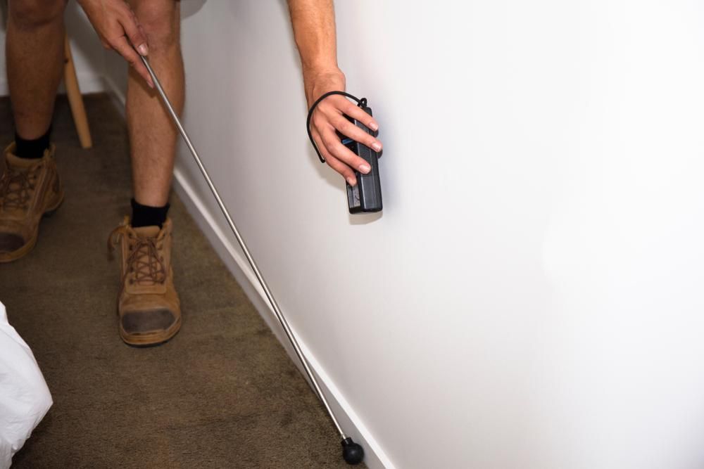 A Person is Measuring a Wall With a Tape Measure — Allied Pest Management Northern Rivers in Ballina, NSW