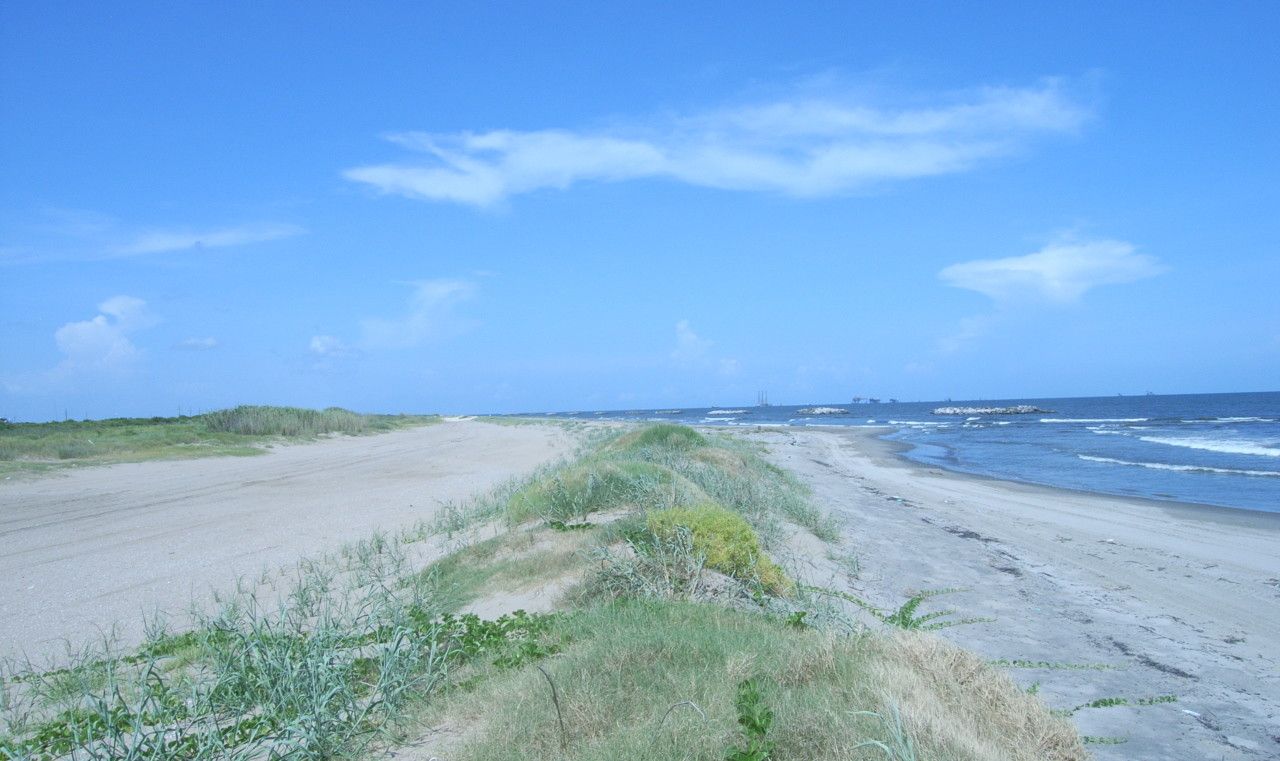 Our Coastal Environment 