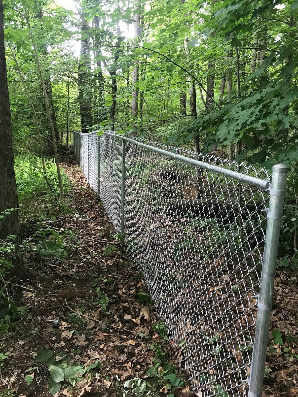 Chain-link fence in a wooded area, trees and foliage surround it.