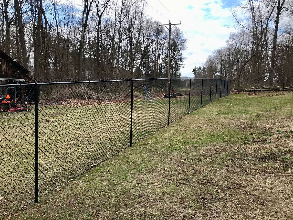 Black chain-link fence bordering a grassy area with trees and a utility pole in the background.